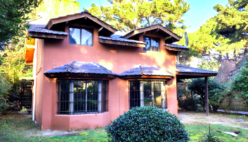 PhotoshopExtension_Image 15.jpeg